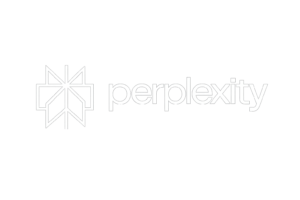 Perplexity
